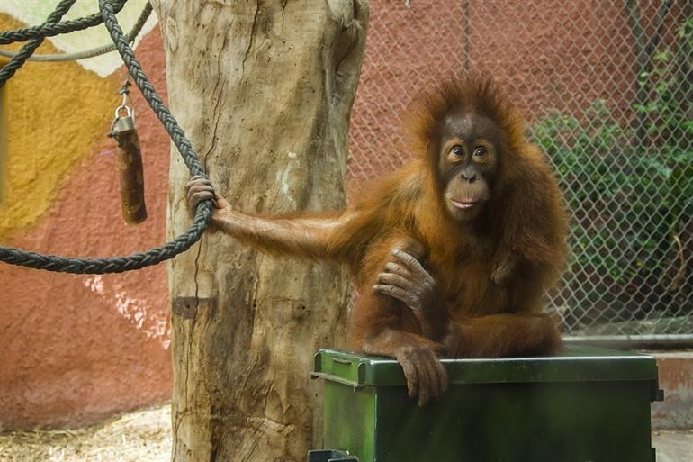 Dortmund Zoo