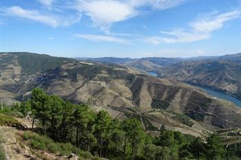 Douro-Tal