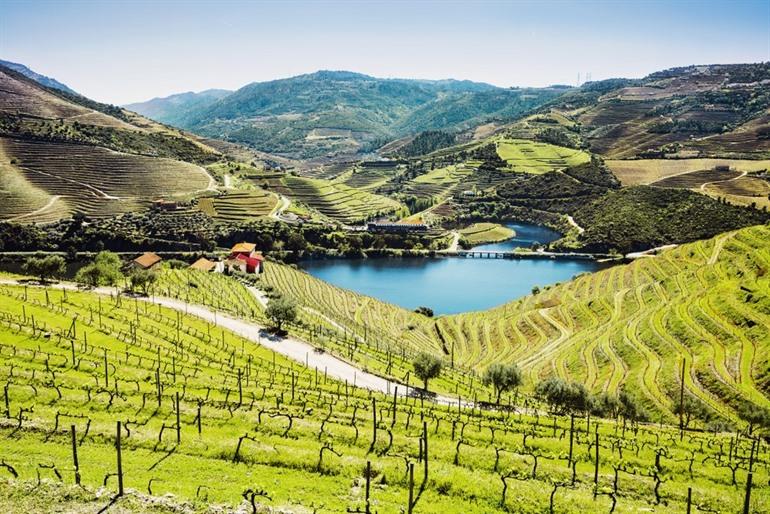 Douro-Tal