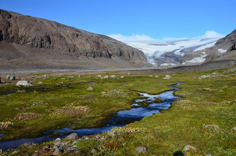 Drangajökull Gletscher