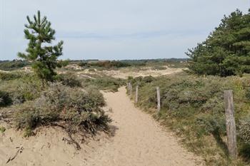 Düne der Slack - Côte d'Opale