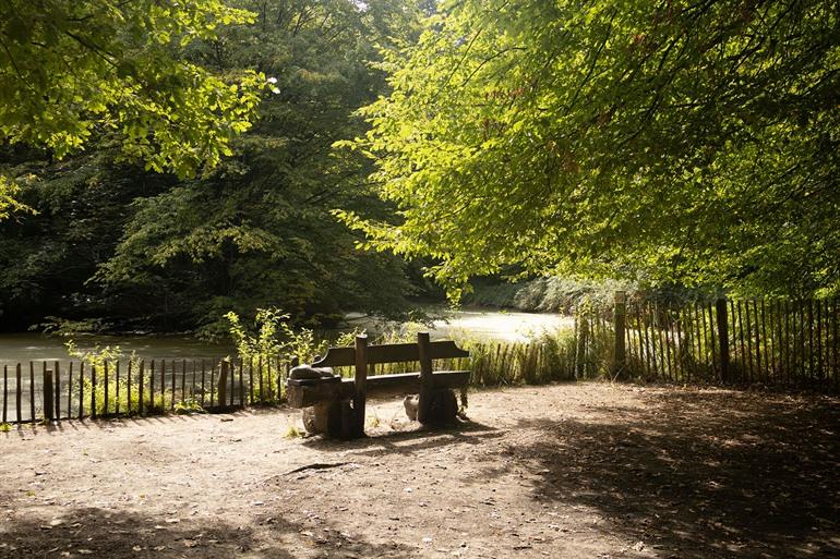 Entenbrücke im Buggenhoutbos