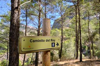 Der erste Abschnitt des Caminito del Rey zwischen den Bäumen