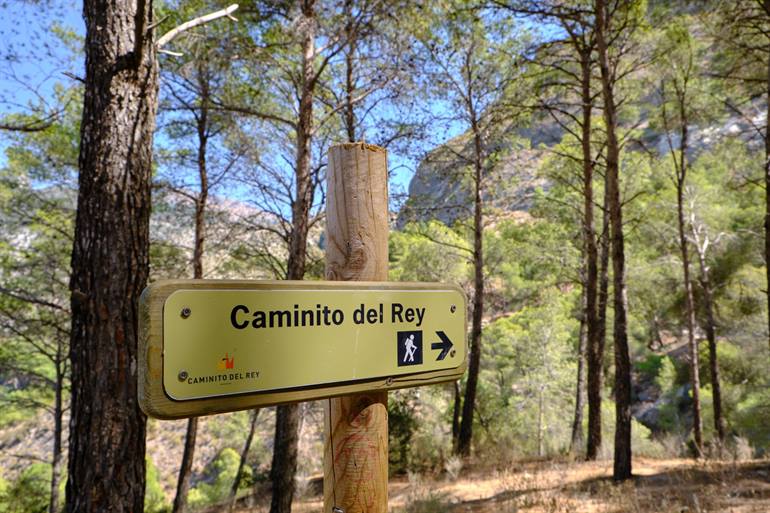 Der erste Abschnitt des Caminito del Rey zwischen den Bäumen
