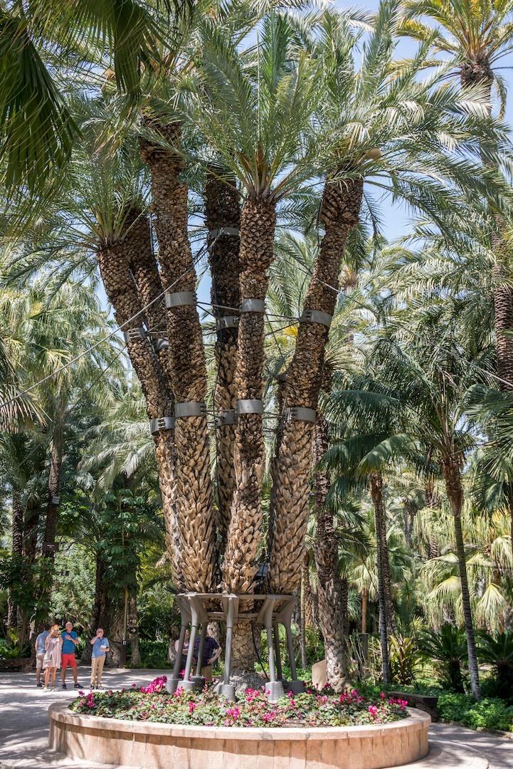 El Huerto del Cura Kaisersbaum