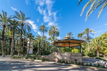 Elche, Palmenhain