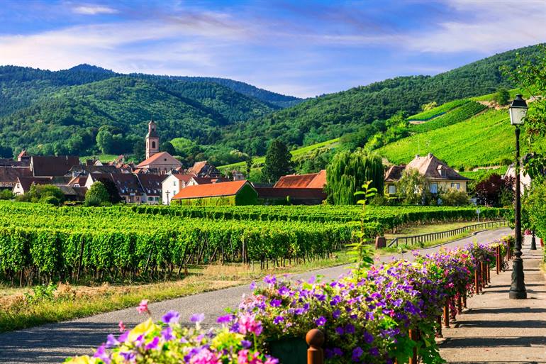 Elsass Weinroute