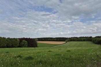 Etappe 3 Transardennaise: Saint-Hubert nach Nassogne