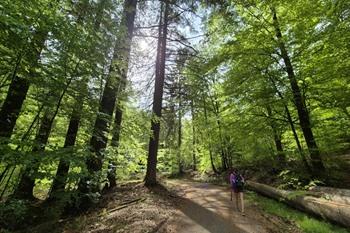 Etappe 3 Transardennaise: Saint-Hubert nach Nassogne