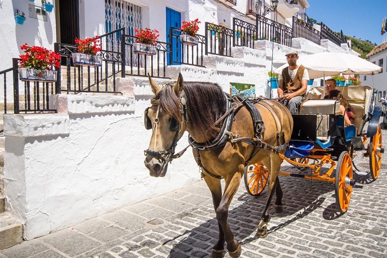 Esel-Taxi in Mijas