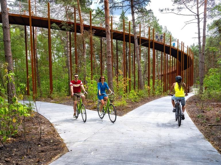 Radfahren durch die Baumkronen Hechtel-Eksel