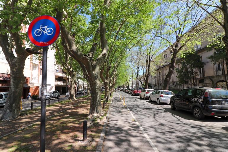 Mit dem Fahrrad durch die geraden Straßen von La Plata