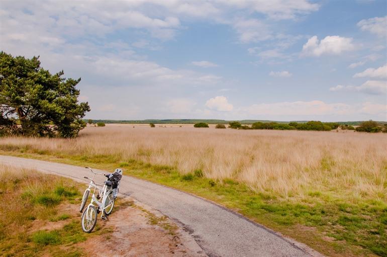 Radfahren im Hoge Veluwe, Gelderland