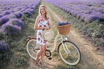 Fahrradfahren in den Lavendelfeldern, Provence