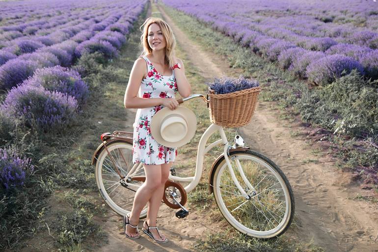 Fahrradfahren in den Lavendelfeldern, Provence
