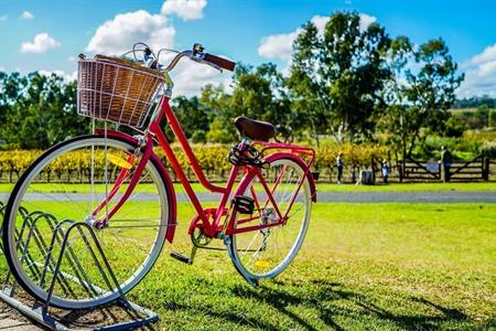 Radfahren ist gesund