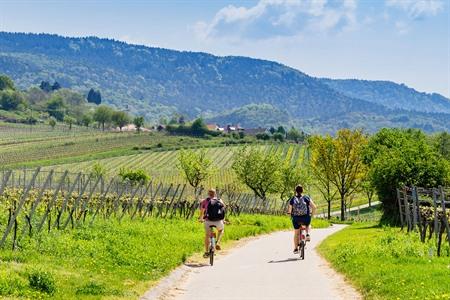 Fahrradtour entlang der Deutschen Weinstraße