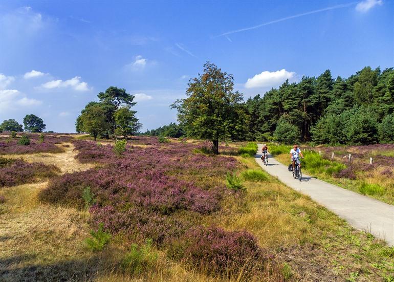 Radfahren auf der Veluwe