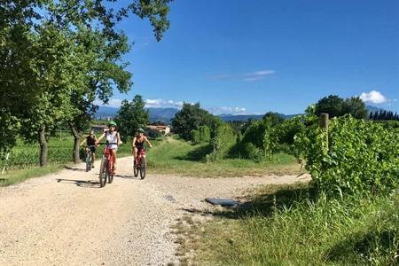 Fahrradtour und Weinverkostung rund um Lazise buchen