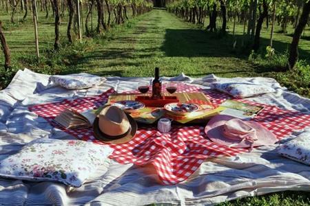 Fahrradtour durch die Weinberge der toskanischen Hügel mit Picknick
