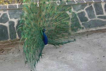 Finca La Herencia