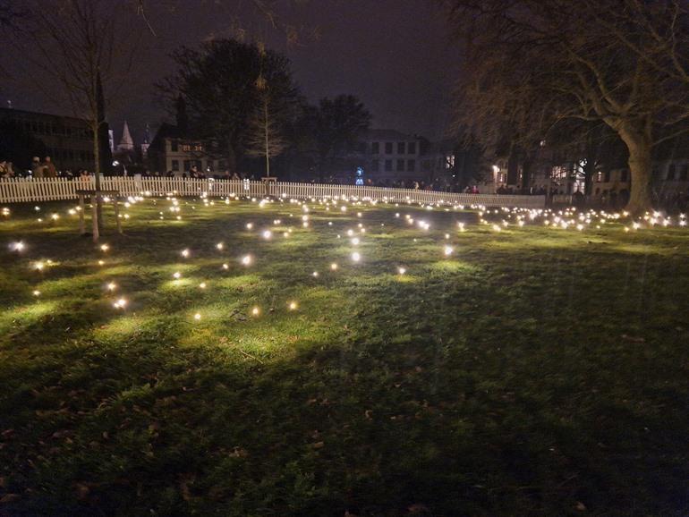 Firefly Field Lichtfestival Gent 2024