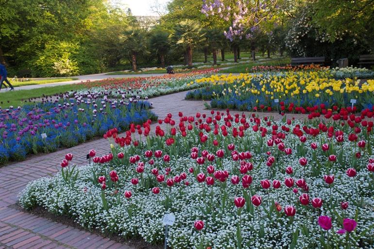 Flora Botanischer Garten in Köln, Deutschland