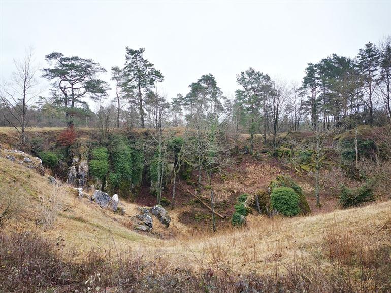 Wanderweg Fondry des Chiens