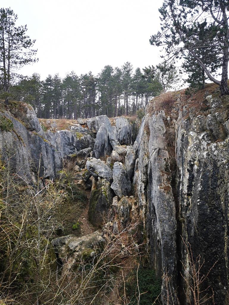 Wanderweg Fondry des Chiens