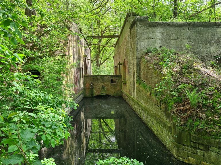 Festung 5 Edegem