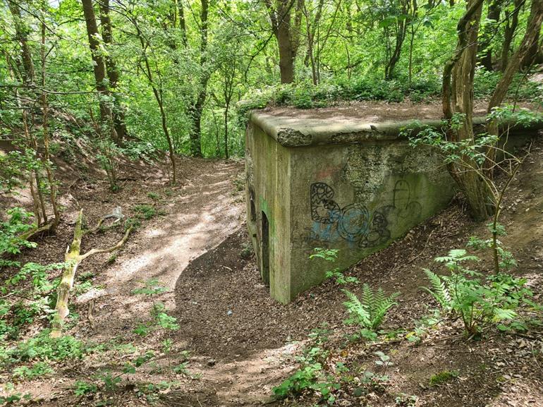 Festung 5 Edegem