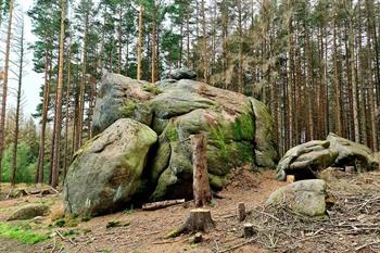 Froschfelsen Klippen, Harz
