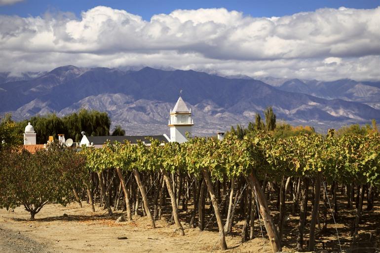 Besuchen Sie verschiedene Weingüter in Cafayate