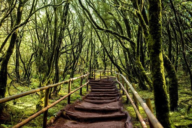 Nationalpark Garajonay