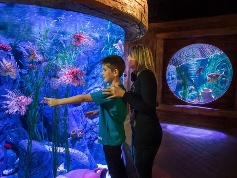 Gardaland SEA LIFE Aquarium am Gardasee besuchen