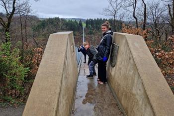 Geierlay-Hängebrücke überqueren