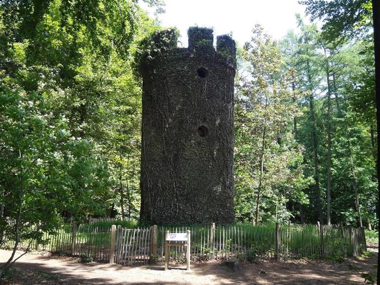 Geuzenturm auf dem Musikberg, Vlaamse Ardennen