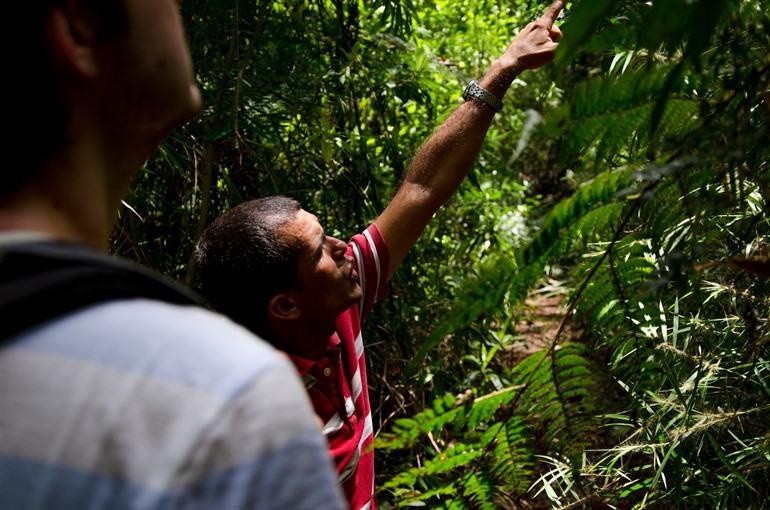 Stadtführer im Parque Nacional Alejandro de Humboldt, Kuba