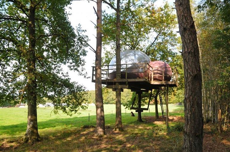 Luxus-Camping in Fisenne, Ardennen
