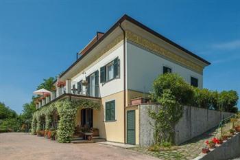 Die Bücher der Olivenhaine von Montalbano