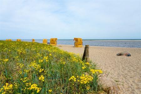 Gollwitzer Strand auf der Insel Poel
