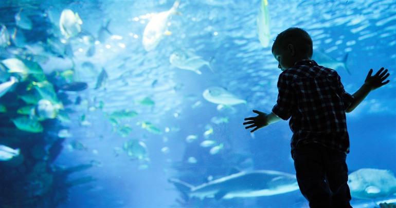 Großaquarium in Hurghada, Ägypten