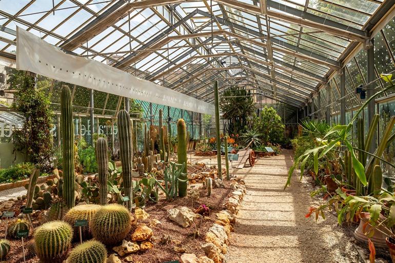 Grüne Gewächshaus des Orto Botanico di Pisa