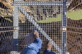 Überqueren Sie die Hängebrücke im Caminito del Rey
