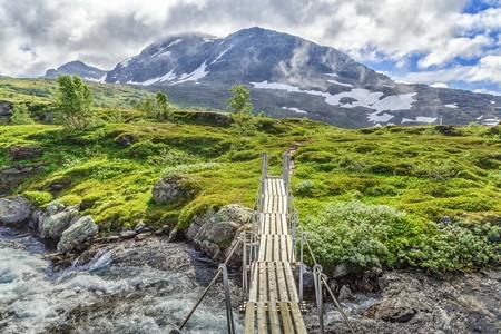 Hardangervidda