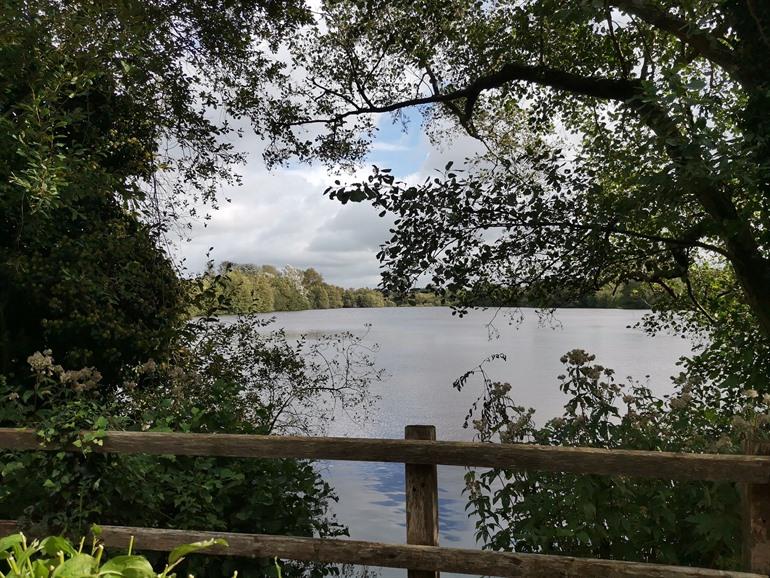 Hardelot Marais (Sumpfgebiet)