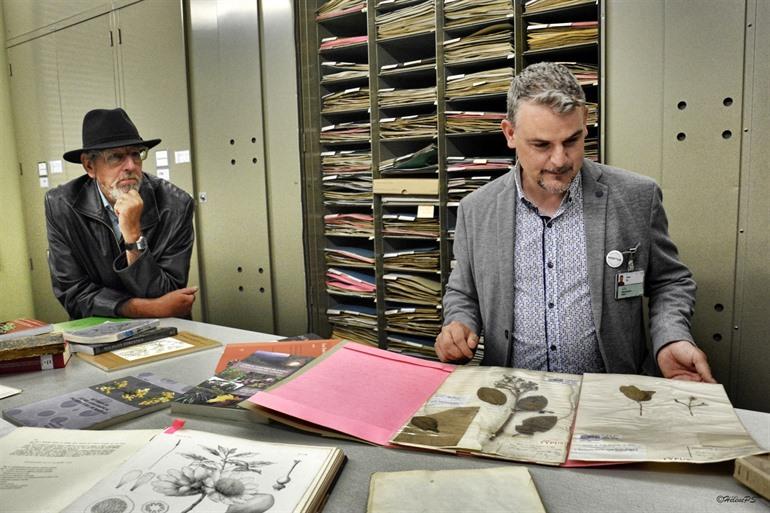 Herbarium im Botanischen Garten Meise