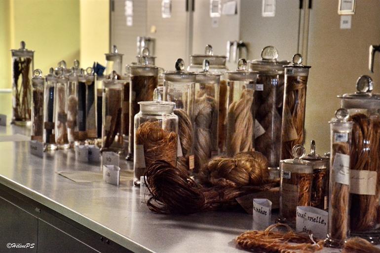 Herbarium im Botanischen Garten Meise