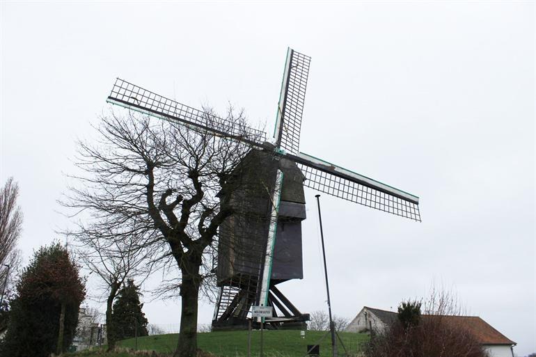 Hertboommühle (Zepposmühle) in Roosdaal