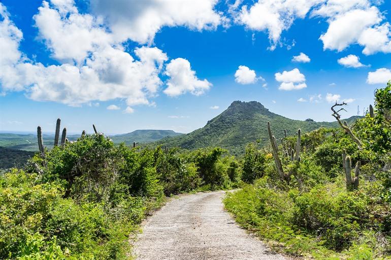 Den Christoffelpark auf Curaçao, den ABC-Inseln, besuchen
